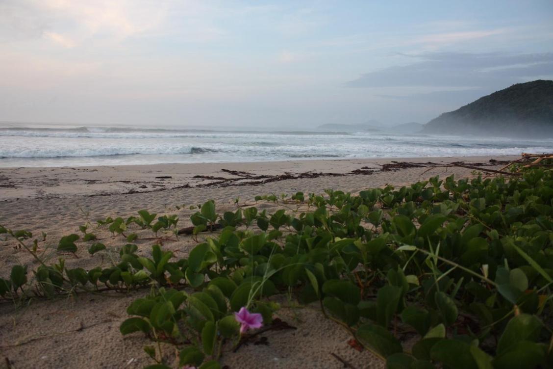 Maloquinha Itamambuca. A Mais Charmosa De Ubatuba. Exteriér fotografie
